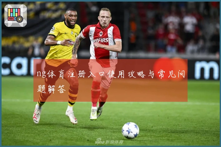 ng体育注册入口使用攻略与常见问题解答