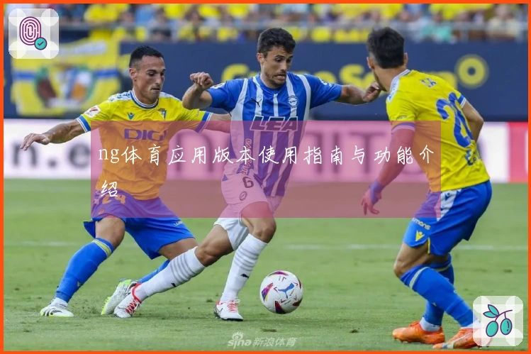 ng体育应用版本使用指南与功能介绍