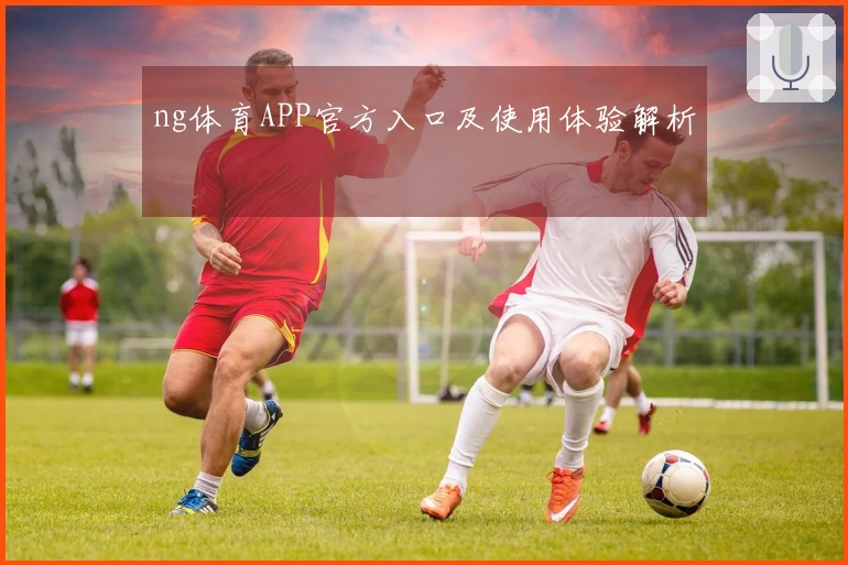 ng体育APP官方入口及使用体验解析