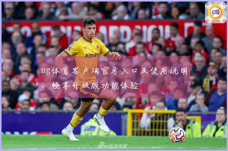 ng体育客户端官方入口及使用说明，畅享升级版功能体验