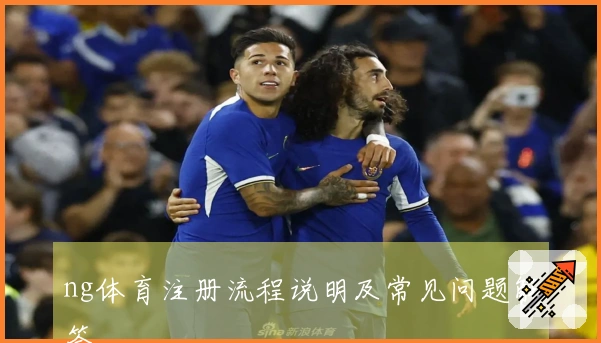 ng体育注册流程说明及常见问题解答