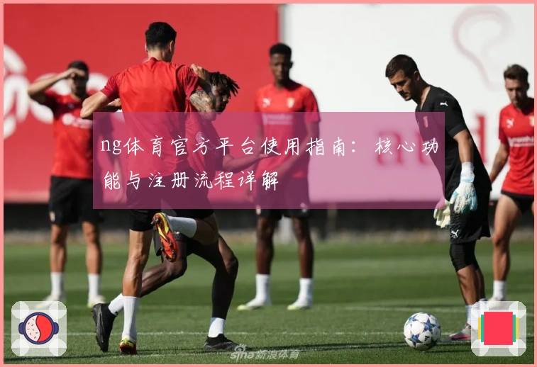 ng体育官方平台使用指南：核心功能与注册流程详解