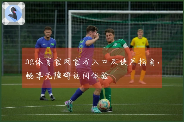 ng体育官网官方入口及使用指南，畅享无障碍访问体验
