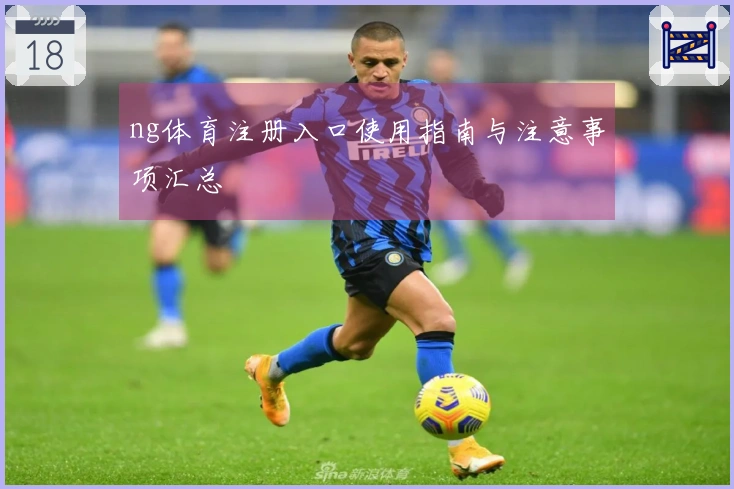 ng体育注册入口使用指南与注意事项汇总