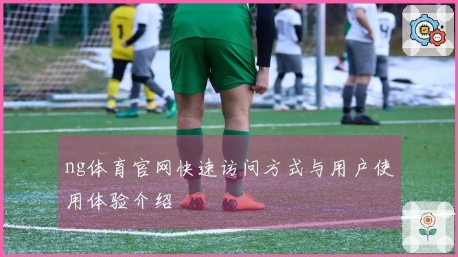 ng体育官网快速访问方式与用户使用体验介绍