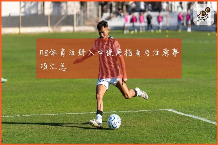 ng体育注册入口使用指南与注意事项汇总