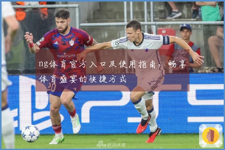 ng体育官方入口及使用指南，畅享体育盛宴的快捷方式