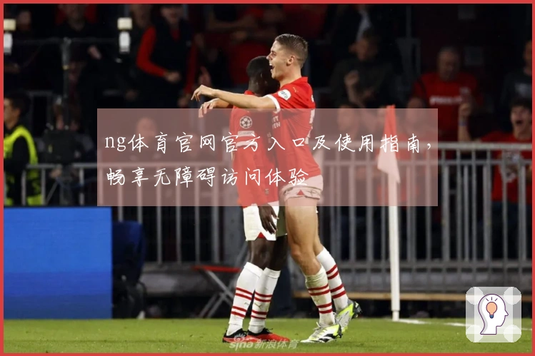 ng体育官网官方入口及使用指南，畅享无障碍访问体验